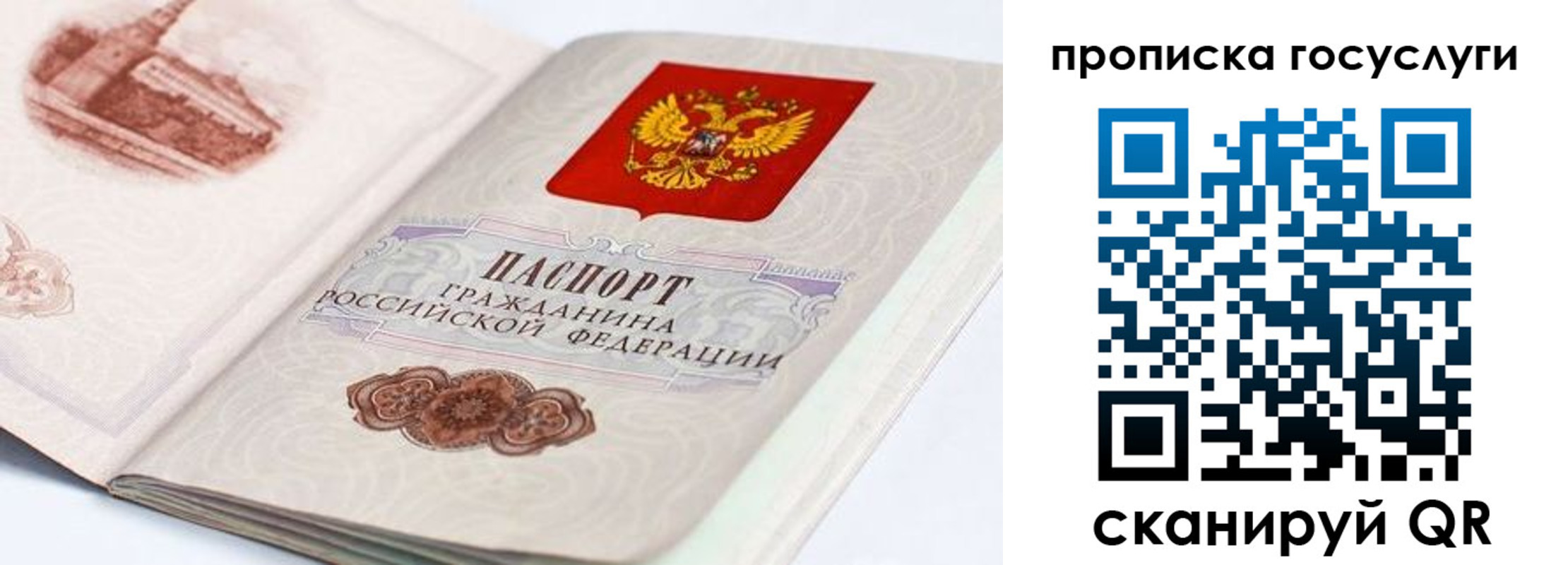 прописка регистрация в Дятьково